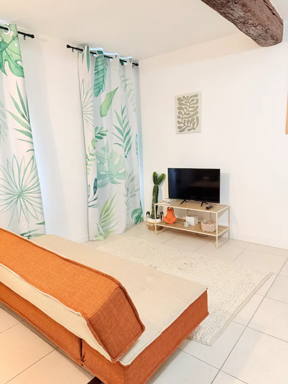 Nos appartements coin salon canapé télévision studio Nîmes zen fleuri
